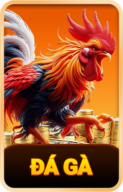 đá gà